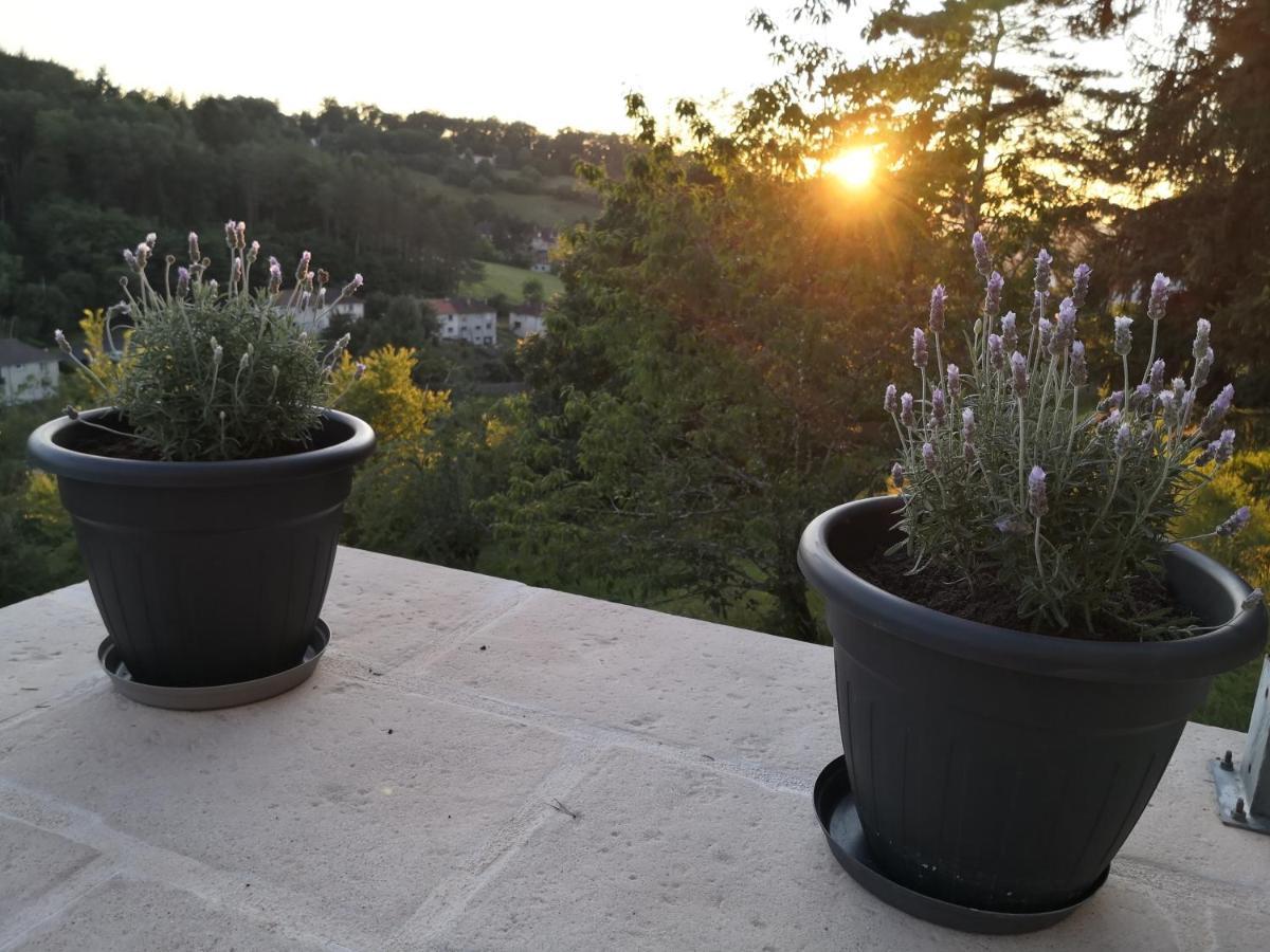 Chambre Meublee Avec Vue Panoramique A Perigueux Sanilhac  Eksteriør bilde